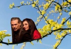 werfqwedwergewrthergf