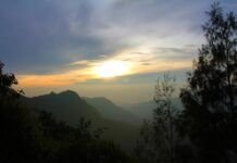 Magnificence: El Significado y Cómo Aplicarlo en tu Vida Magnificence