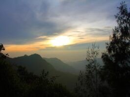 Magnificence: El Significado y Cómo Aplicarlo en tu Vida Magnificence