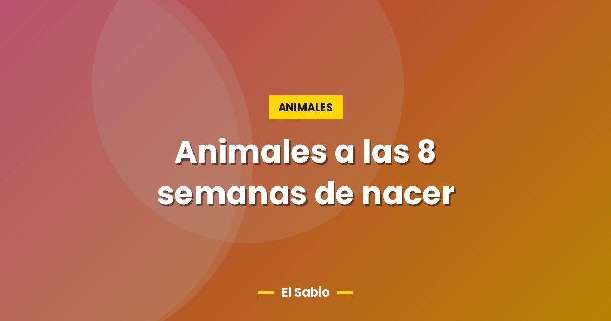 Animales a las 8 semanas de nacer