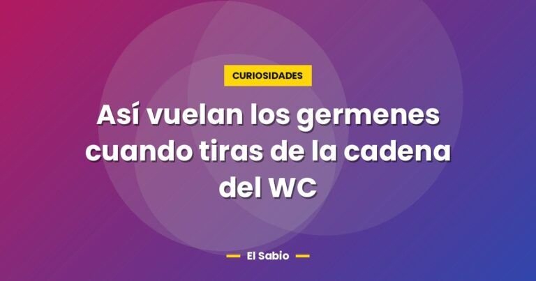 asi vuelan los germenes cuando tiras de la cadena del wc 3787