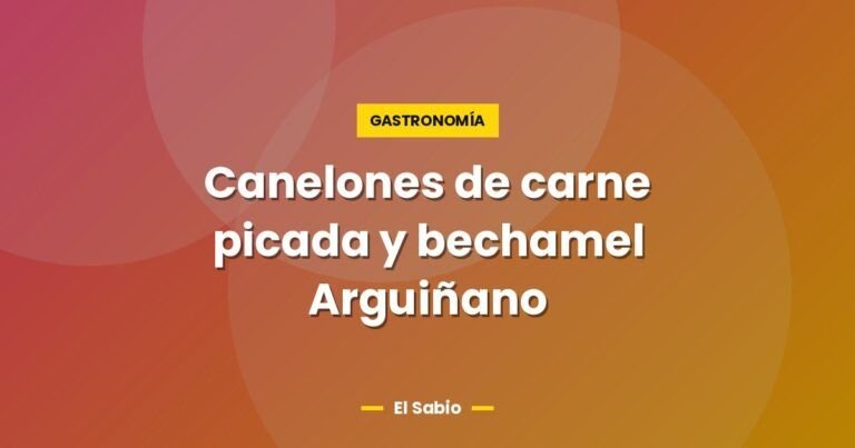 canelones de carne picada y bechamel arguinano 5149