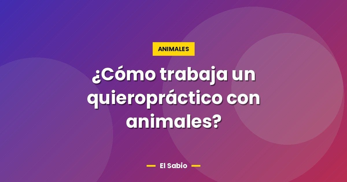 ¿Cómo trabaja un quieropráctico con animales?