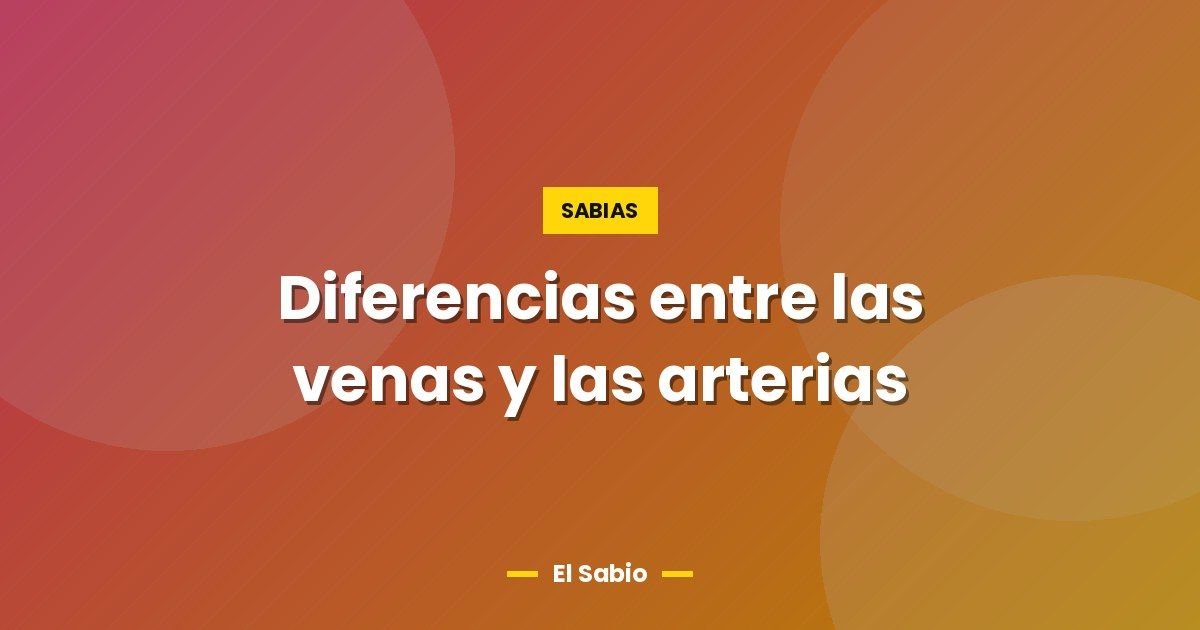 Diferencias entre las venas y las arterias 1 Diferencias entre las venas y las arterias