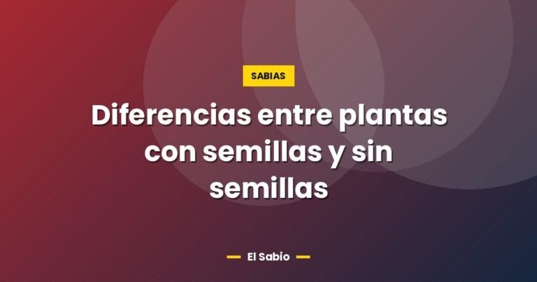 diferencias entre plantas con semillas y sin semillas 5843