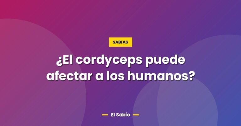 el cordyceps puede afectar a los humanos 6207