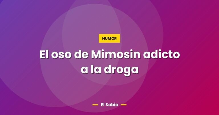 el oso de mimosin adicto a la droga 3355