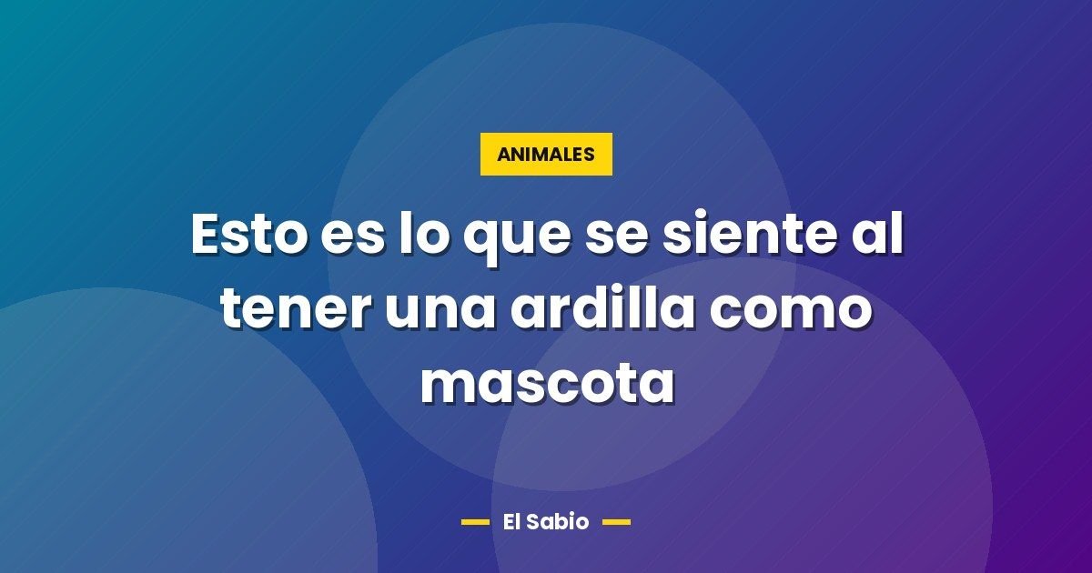 Esto es lo que se siente al tener una ardilla como mascota