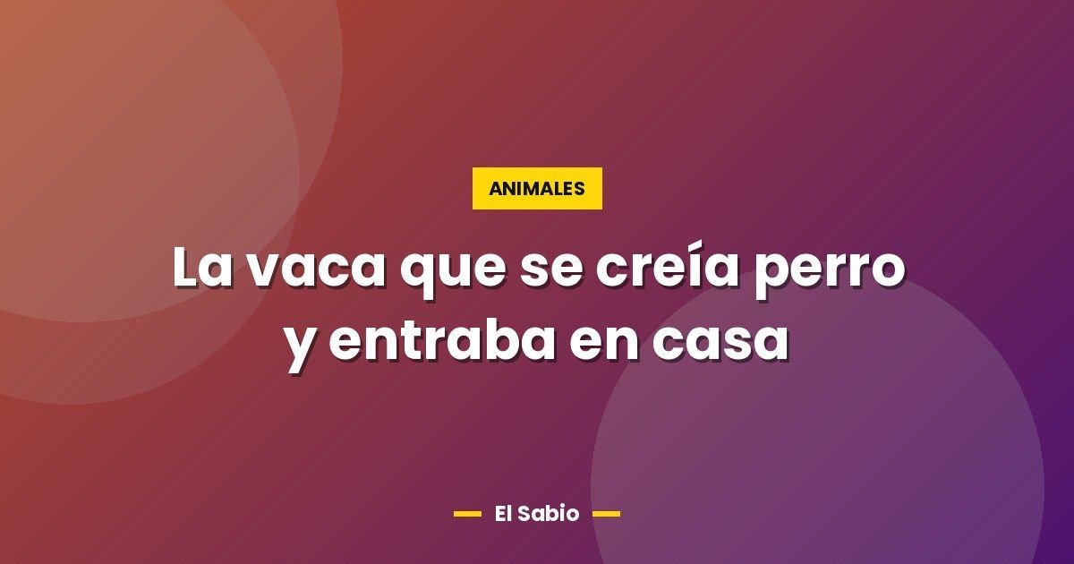 La vaca que se creía perro y entraba en casa 1 La vaca que se creía perro y entraba en casa