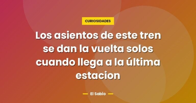 los asientos de este tren se dan la vuelta solos cuando lleg 3101