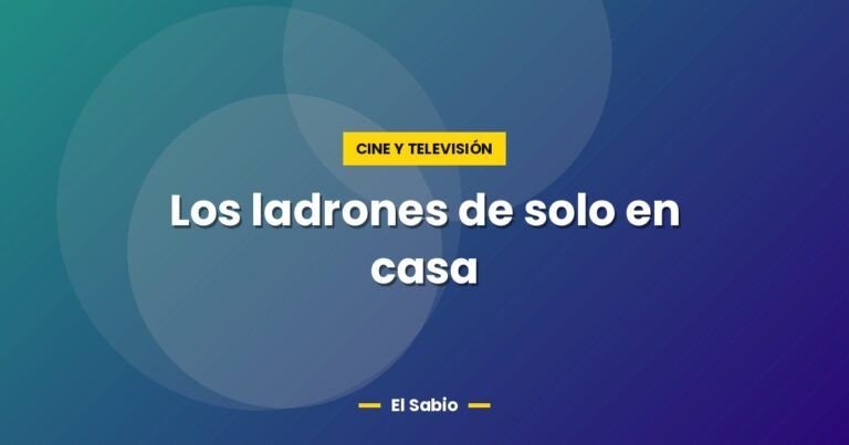 los ladrones de solo en casa 6461