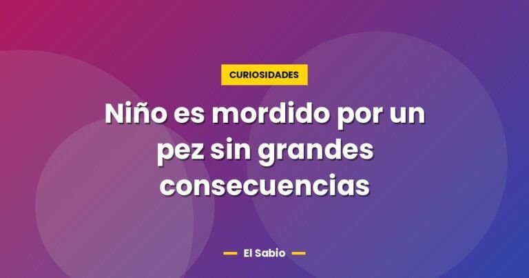 nino es mordido por un pez sin grandes consecuencias 2545