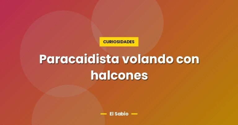 paracaidista volando con halcones 2481