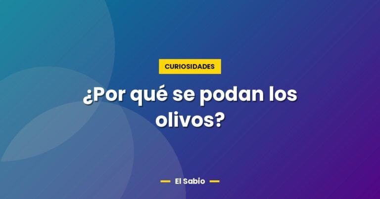 por que se podan los olivos 5141