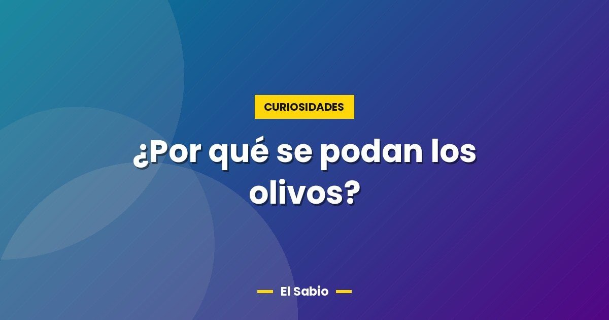 ¿Por qué se podan los olivos? 1 ¿Por qué se podan los olivos?