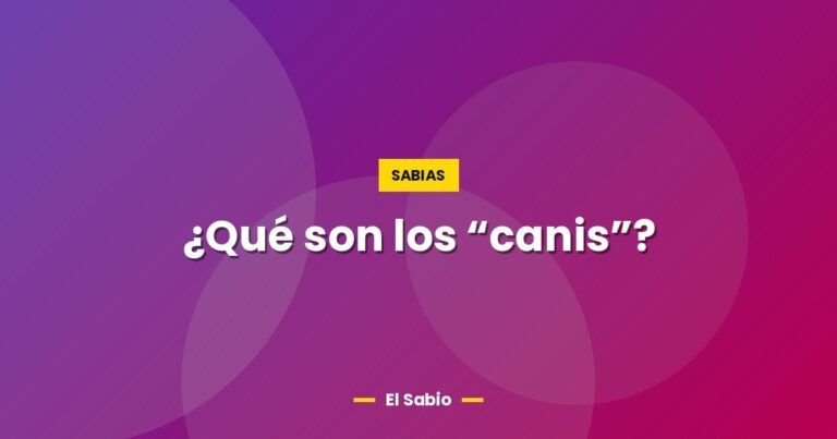 que son los canis 6160