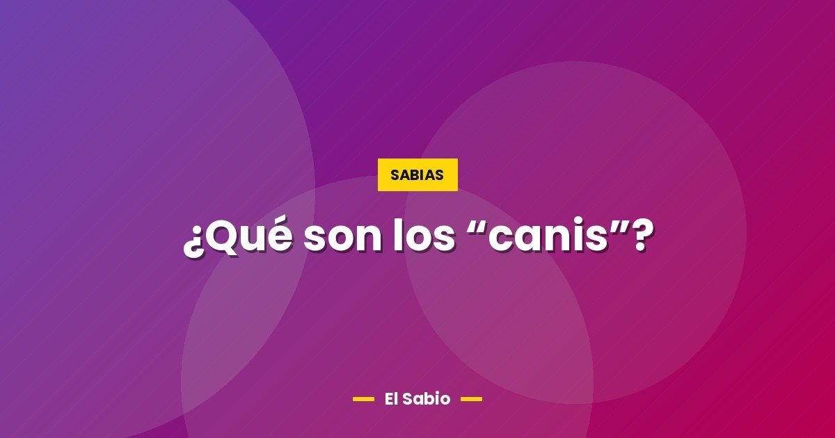 ¿Qué son los “canis”?