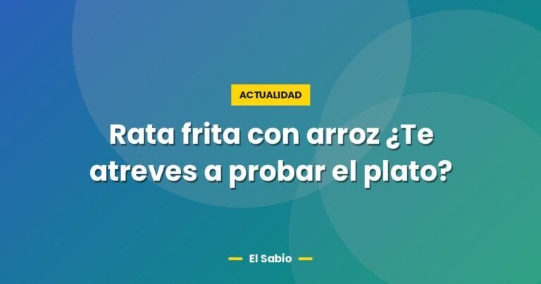 rata frita con arroz te atreves a probar el plato 2606