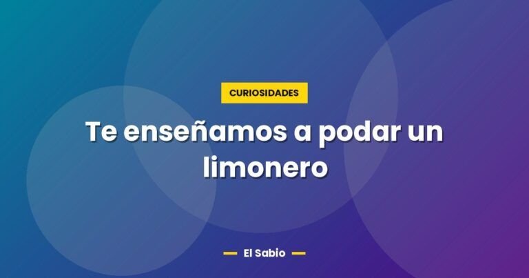 te ensenamos a podar un limonero 5150