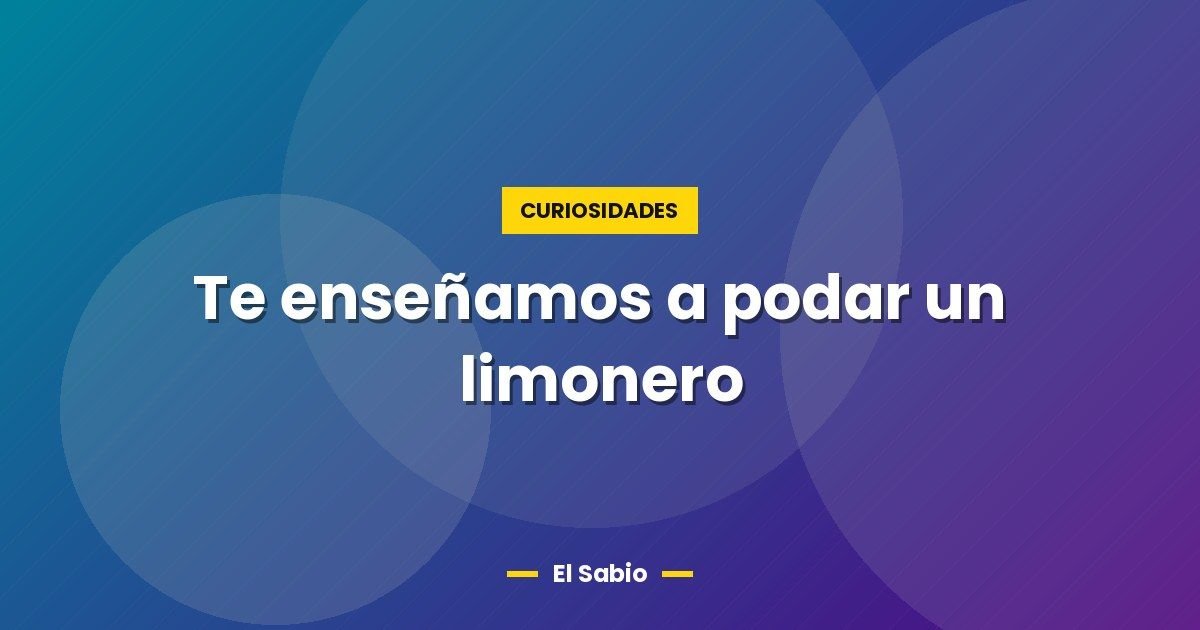 Te enseñamos a podar un limonero 1 Te enseñamos a podar un limonero