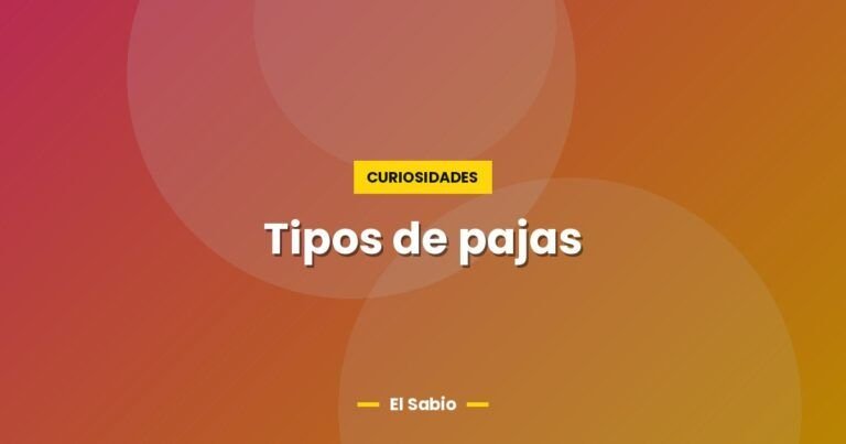 tipos de pajas 5155
