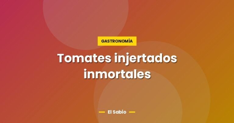 tomates injertados inmortales 5226