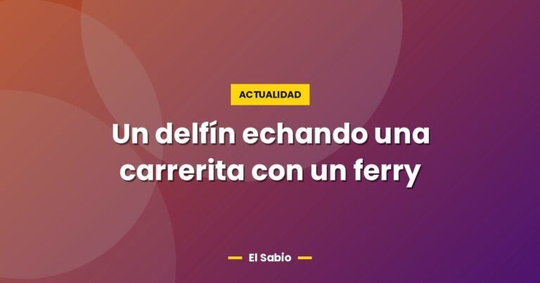 un delfin echando una carrerita con un ferry 4090