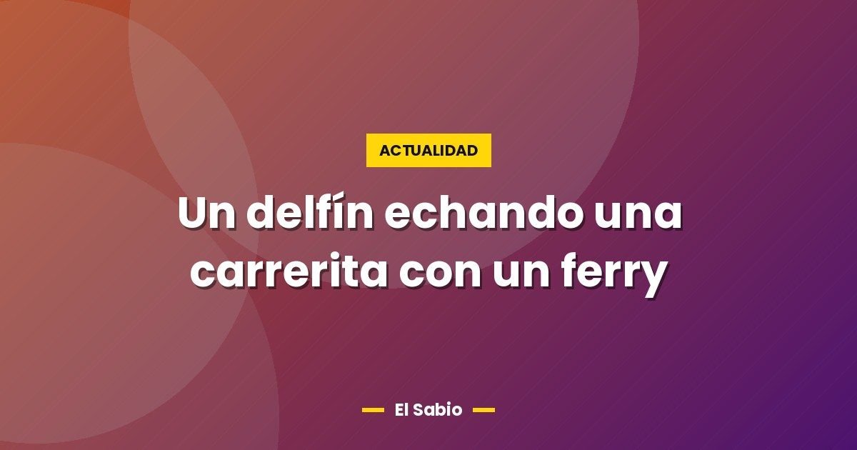 Un delfín echando una carrerita con un ferry 1 Un delfín echando una carrerita con un ferry