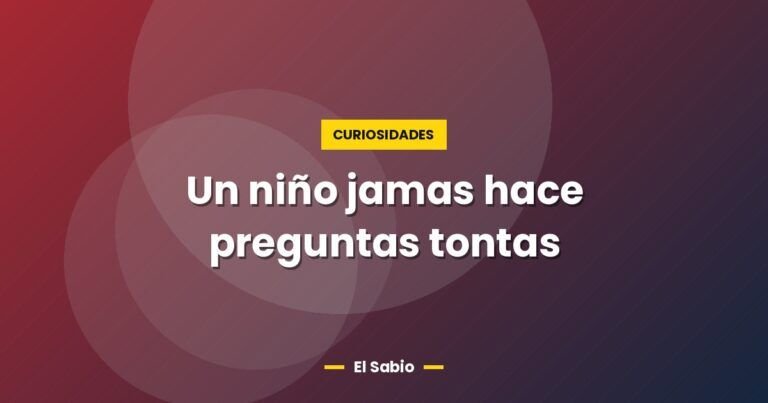un nino jamas hace preguntas tontas 2637